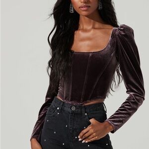Astr Elegant Velvet Long Sleeve Top L NWT